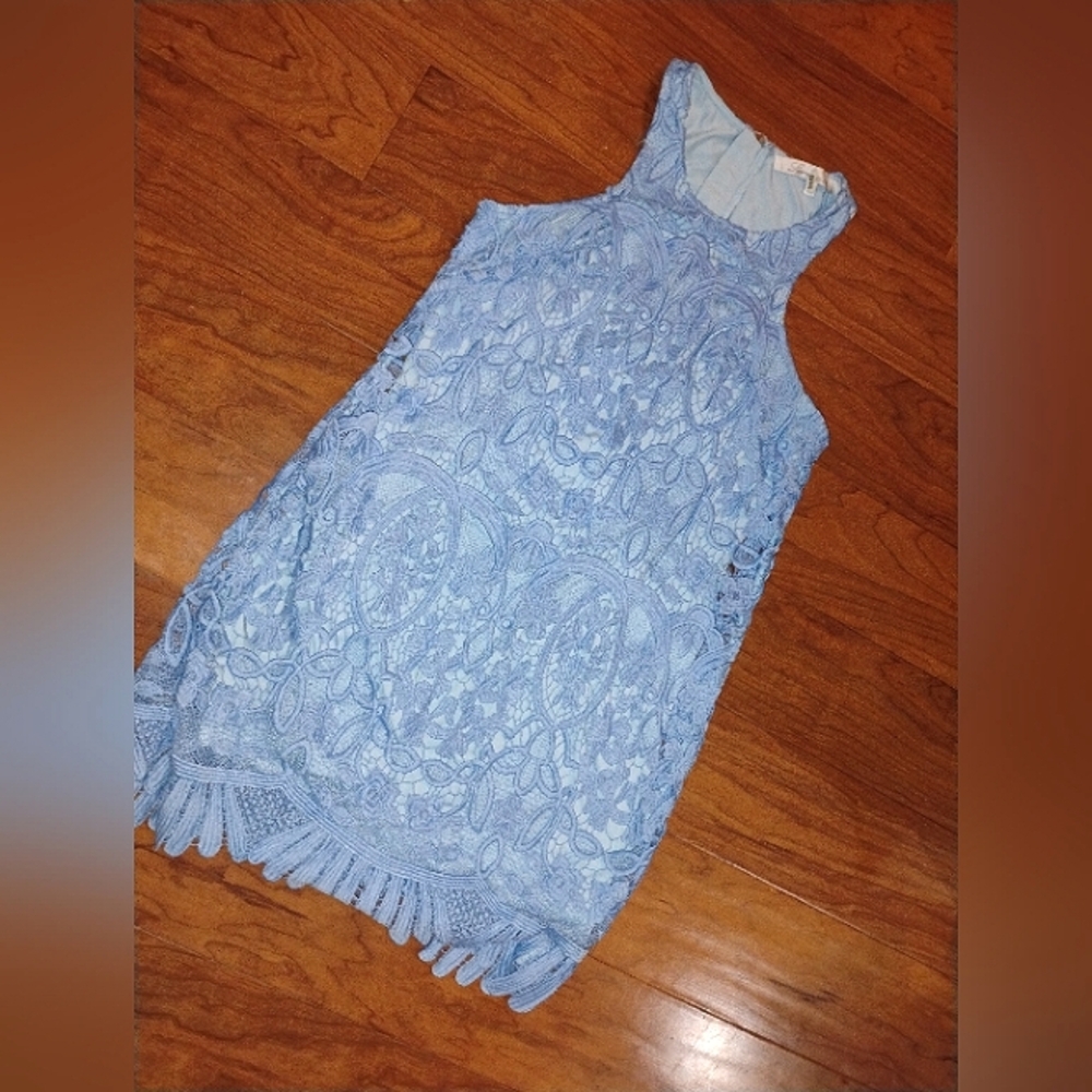Lovers And Friends Mini Dress